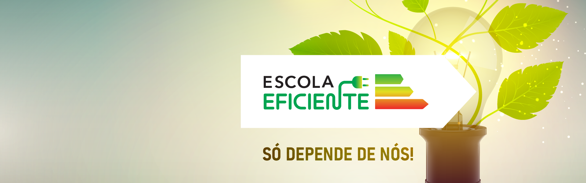 A eficiência energética na escola e em tua casa